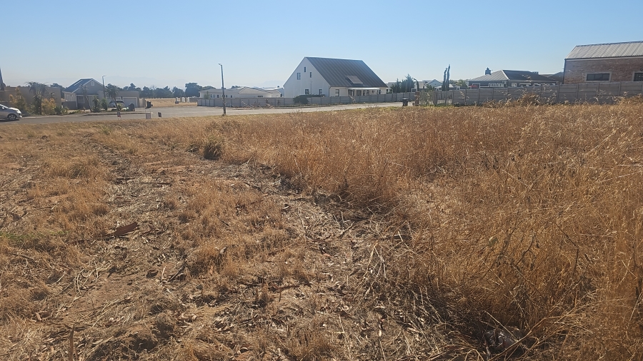 0 Bedroom Property for Sale in Darling Western Cape